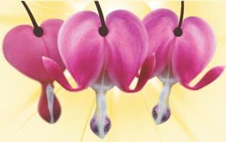 Sticky header logo